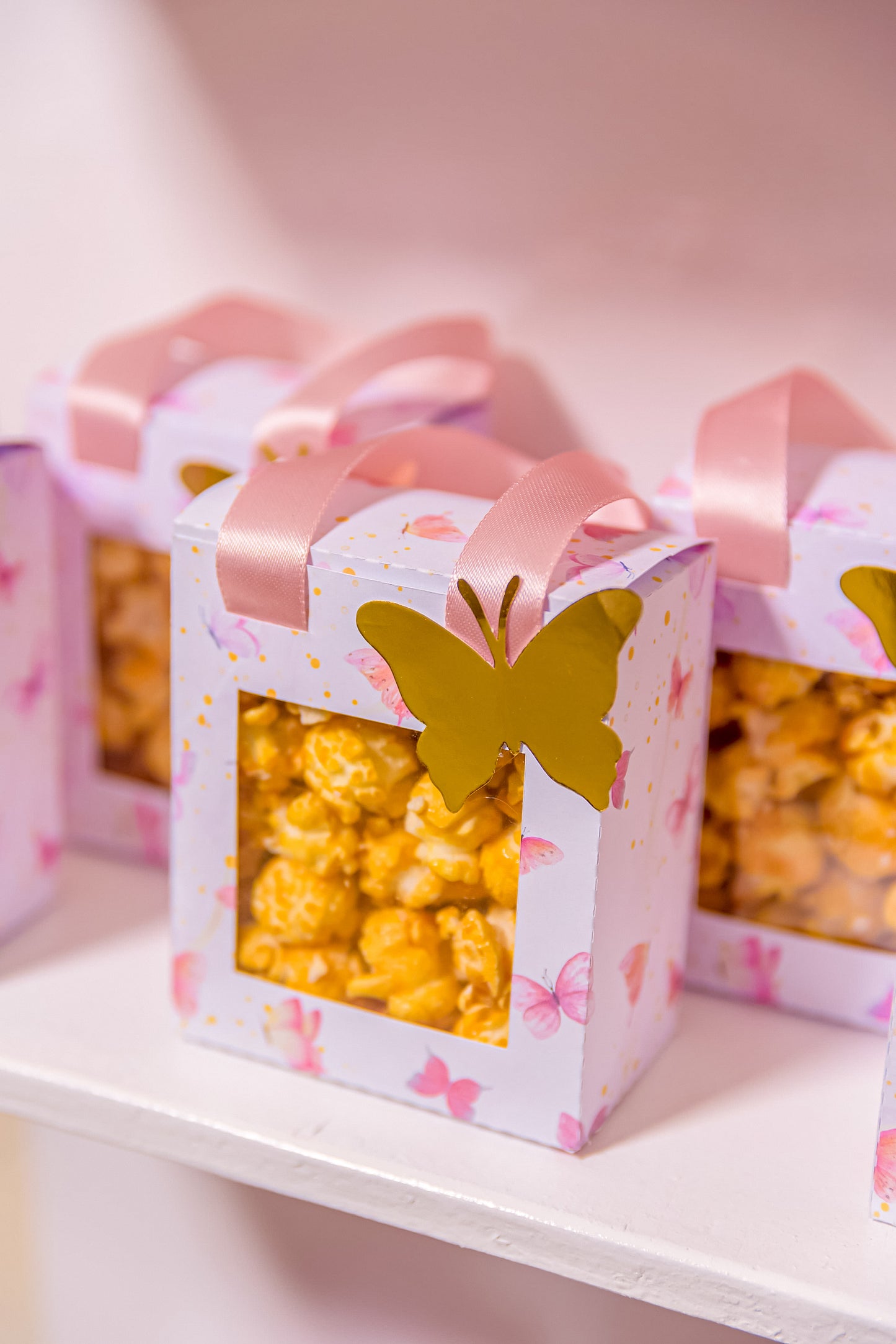 Popcorn Bag